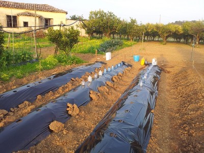 giovedi_1.jpg (287.9 KiB) Osservato 978 volte giovedi_1.jpg