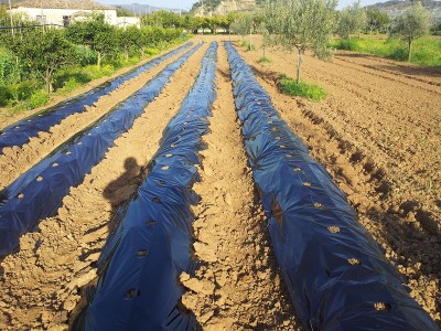 lavoro finito.jpg (326.32 KiB) Osservato 954 volte lavoro finito.jpg