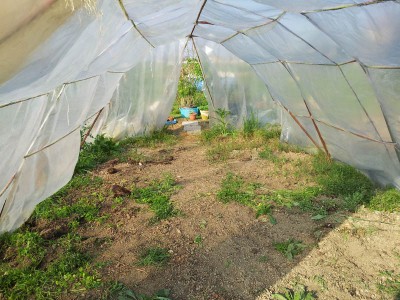 serra / 20140328_160532.jpg 20140328_160532.jpg