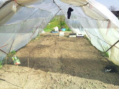 20140329_104728.jpg (152.41 KiB) Osservato 816 volte 20140329_104728.jpg