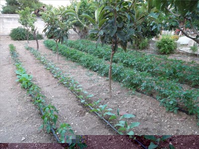 terreno / sam_7972.jpg sam_7972.jpg