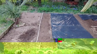 Terreno e Telo.jpg (188.92 KiB) Osservato 880 volte Terreno e Telo.jpg