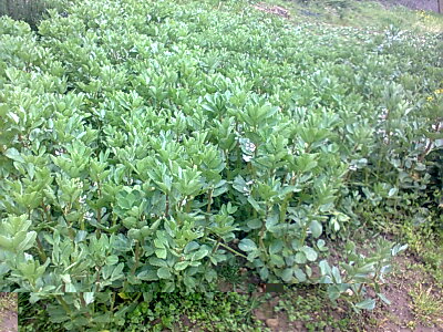 foto0695.jpg foto0695.jpg