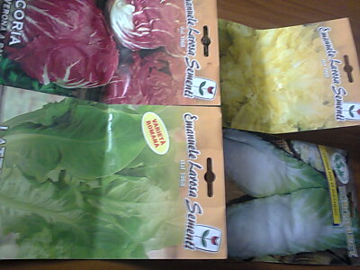 foto0721.jpg foto0721.jpg