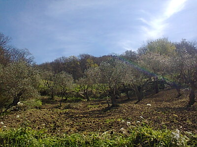 foto0723.jpg foto0723.jpg