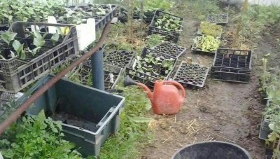 Serra 1 / 2014-04-03 08.04.40-1-1-1-1-1.jpg 2014-04-03 08.04.40-1-1-1-1-1.jpg