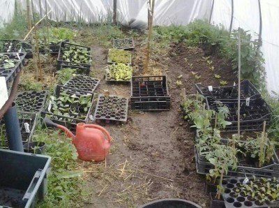 Serra2 / 2014-04-03 08.02.22-1-1-1.jpg 2014-04-03 08.02.22-1-1-1.jpg