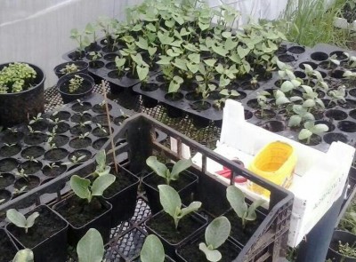 Sor / 2014-04-03 08.03.59-1-1-1.jpg 2014-04-03 08.03.59-1-1-1.jpg