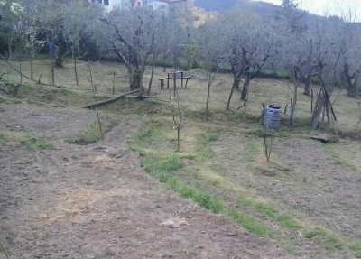 Orto / 2014-04-03 08.06.33-2-1.jpg 2014-04-03 08.06.33-2-1.jpg