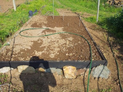 piccola_aiuola.jpg (337.37 KiB) Osservato 1055 volte piccola_aiuola.jpg