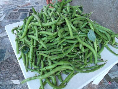 fave / sam_9162.jpg sam_9162.jpg