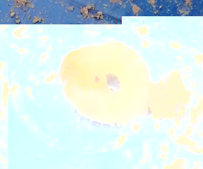 IMG_20140405_180830055-mod.jpg (165.19 KiB) Osservato 732 volte IMG_20140405_180830055-mod.jpg