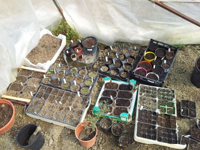 20140406_150651.jpg (217.46 KiB) Osservato 799 volte 20140406_150651.jpg