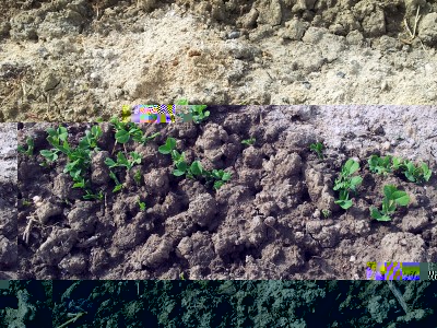 20140406_150505.jpg (275.78 KiB) Osservato 1024 volte 20140406_150505.jpg