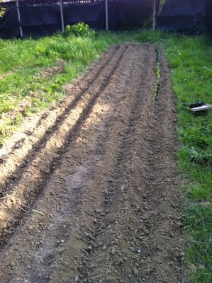 010.jpg (299.27 KiB) Osservato 1034 volte 010.jpg