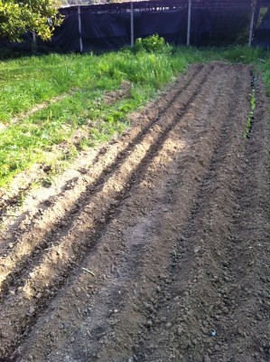 011.jpg (313.75 KiB) Osservato 1034 volte 011.jpg