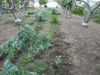 fave / sam_9189.jpg sam_9189.jpg