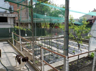 Orto completo.jpg (168.38 KiB) Osservato 622 volte Orto completo.jpg