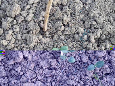 Butternut / 20140423_181038.jpg 20140423_181038.jpg