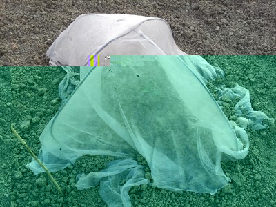 20140423_181147.jpg (157.45 KiB) Osservato 891 volte 20140423_181147.jpg