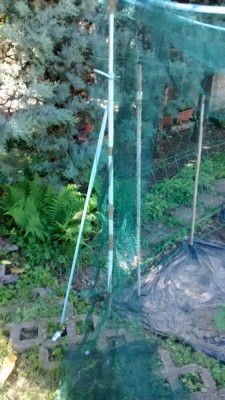 Dettaglio Fissaggio palo.jpg (120.77 KiB) Osservato 766 volte Dettaglio Fissaggio palo.jpg