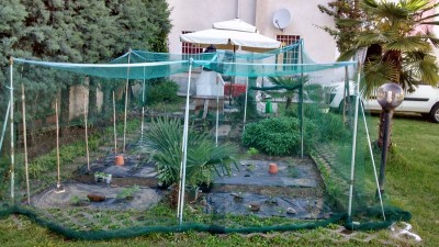 Rete antigrandine 1.jpg (197.46 KiB) Osservato 763 volte Rete antigrandine 1.jpg