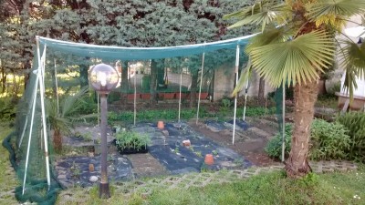 Rete antigrandine 2.jpg (199.47 KiB) Osservato 763 volte Rete antigrandine 2.jpg