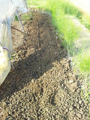 risultato / 20140510_084757.jpg 20140510_084757.jpg