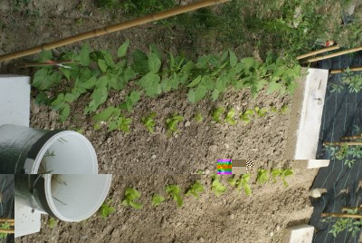 DSC09348.JPG (207.1 KiB) Osservato 824 volte DSC09348.JPG