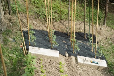 DSC09349.JPG (242.43 KiB) Osservato 824 volte DSC09349.JPG