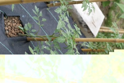 DSC09432.JPG (148.27 KiB) Osservato 727 volte DSC09432.JPG