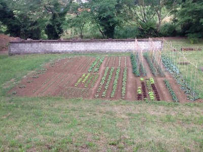 image.jpg (199.38 KiB) Osservato 975 volte image.jpg