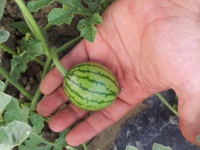 Miyako / 20140605_183227.jpg 20140605_183227.jpg