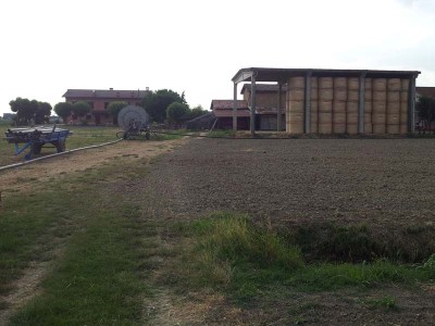 irrigazione / 20140605_183057.jpg 20140605_183057.jpg