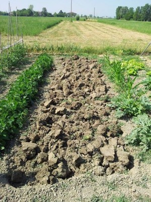 Terra vangata / 10346359_10204157892177247_1029452914089210638_n.jpg 10346359_10204157892177247_1029452914089210638_n.jpg