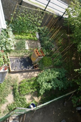 orticello bello bello :D / hortus.jpg hortus.jpg