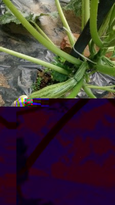 IMG-20140610-WA0010 (Copia).jpg (118.46 KiB) Osservato 781 volte IMG-20140610-WA0010 (Copia).jpg