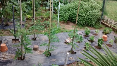 IMG-20140610-WA0012 (Copia).jpg (203.31 KiB) Osservato 781 volte IMG-20140610-WA0012 (Copia).jpg