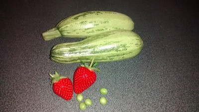 IMG-20140611-WA0002 (Copia).jpg (162.46 KiB) Osservato 781 volte IMG-20140611-WA0002 (Copia).jpg