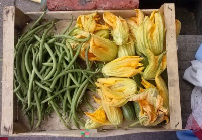 stamani dopo la pioggia / IMG_20140615_121109.jpg IMG_20140615_121109.jpg