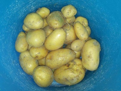 20140621_092059.jpg (85.05 KiB) Osservato 686 volte 20140621_092059.jpg