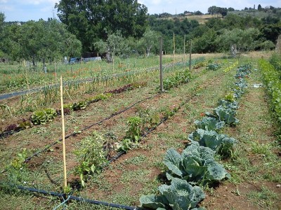 DSC_1817.jpg (262.84 KiB) Osservato 705 volte DSC_1817.jpg