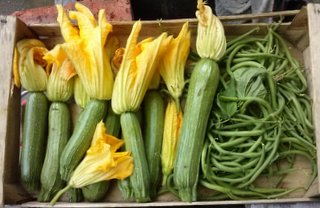 CAM00490.jpg CAM00490.jpg