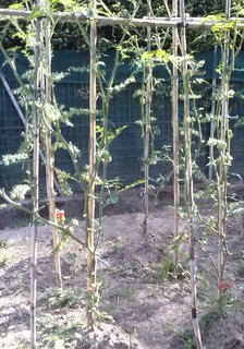 CAM00487-001.jpg CAM00487-001.jpg