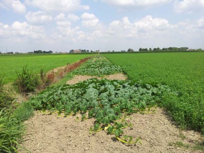 Atlantic / 20140627_125004.jpg 20140627_125004.jpg