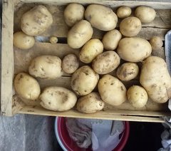 CAM00506.jpg CAM00506.jpg