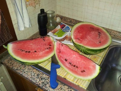 20140702_193330.jpg (91.65 KiB) Osservato 814 volte 20140702_193330.jpg