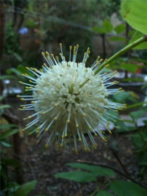 foto 02-07-14 17 44 48.jpg (51.29 KiB) Osservato 884 volte foto 02-07-14 17 44 48.jpg