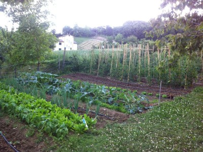 IMG_1611.jpg (131.32 KiB) Osservato 771 volte IMG_1611.jpg