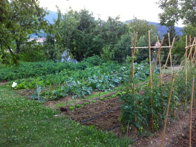 IMG_1618.jpg (142.78 KiB) Osservato 769 volte IMG_1618.jpg